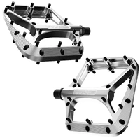Praxis G2 Brodium-SL Pedal Silver