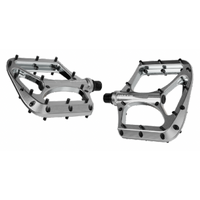 Praxis Brodium MTN Pedal Silver